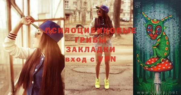 стафф Верхний Тагил