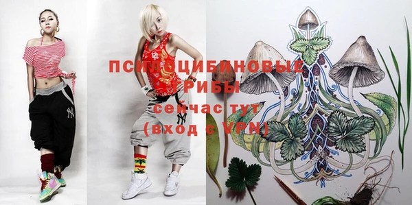 стафф Верхний Тагил
