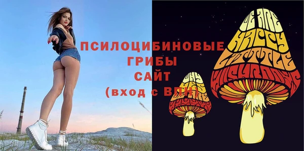 стафф Верхний Тагил