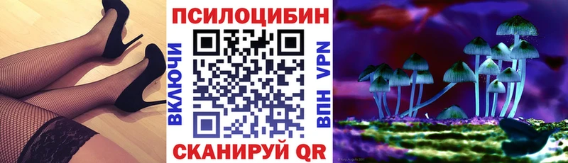 Галлюциногенные грибы Magic Shrooms  Купить  Котельники 